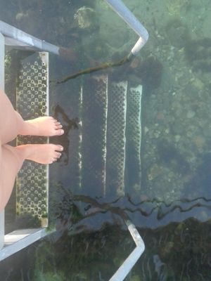 Ready to dive in at Café Klint in Nykoebing Sjaelland