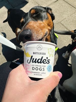 Plant based doggy ice cream  at Kapes Kiosk in Sidmouth