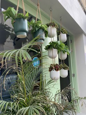   at GOVINDA in San Gwann