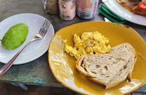  at Organic Farmers Table in Sarasota