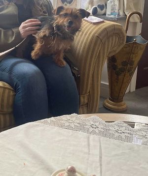   at The Vegan Coffi House in Aberdare