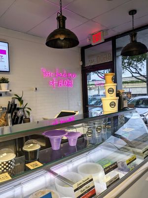 Vibe #Veganuary at Sweet Aloha Ice Cream in Davie