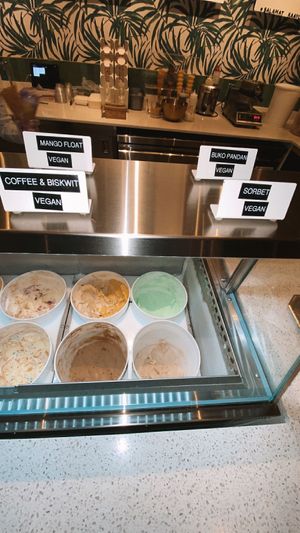 vegan scoops!  at Sampaguita Ice Cream in Orlando