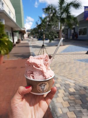It was also a big portion. The challenge is to eat it before it all melts! 😂 at Gelato & Co in George Town