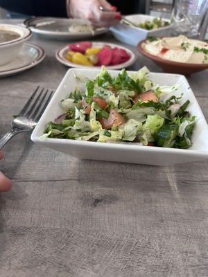 arabic salad  at Carnival Restaurant in Sherman Oaks