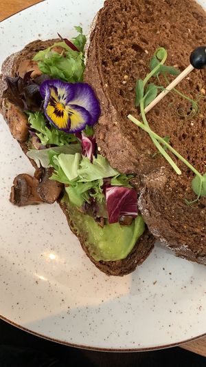 Avocado Spread Toast with mushrooms at Sisters Emmen in Emmen