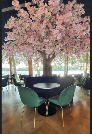 Inside  at Kaap West in Amsterdam