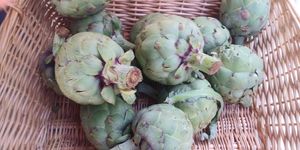  at Ferry Plaza Farmers Market in San Francisco