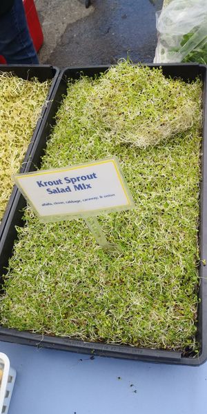  at Ferry Plaza Farmers Market in San Francisco