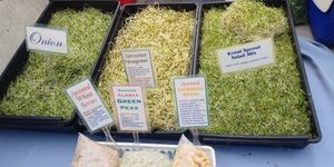  at Ferry Plaza Farmers Market in San Francisco