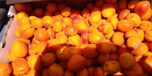  at Ferry Plaza Farmers Market in San Francisco