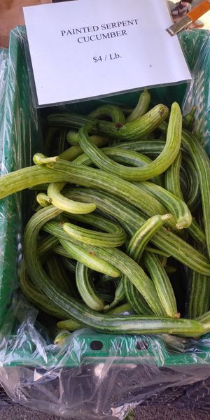  at Ferry Plaza Farmers Market in San Francisco