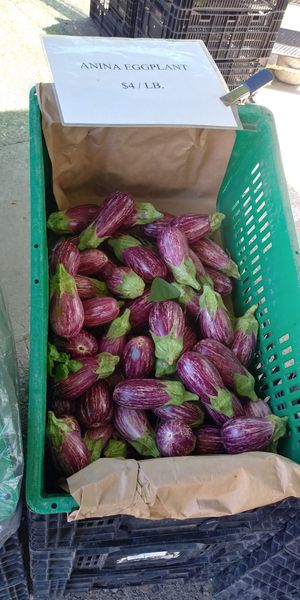  at Ferry Plaza Farmers Market in San Francisco