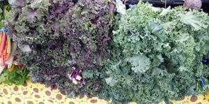  at Ferry Plaza Farmers Market in San Francisco