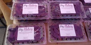  at Ferry Plaza Farmers Market in San Francisco