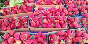 at Ferry Plaza Farmers Market in San Francisco