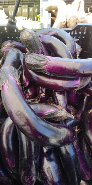  at Ferry Plaza Farmers Market in San Francisco