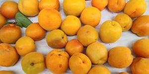  at Ferry Plaza Farmers Market in San Francisco