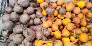  at Ferry Plaza Farmers Market in San Francisco