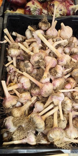  at Ferry Plaza Farmers Market in San Francisco