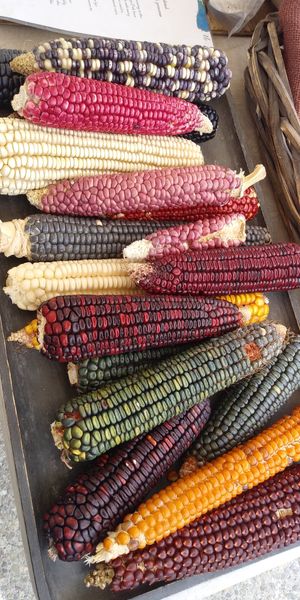  at Ferry Plaza Farmers Market in San Francisco