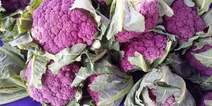  at Ferry Plaza Farmers Market in San Francisco