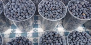  at Ferry Plaza Farmers Market in San Francisco