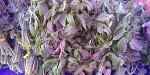  at Ferry Plaza Farmers Market in San Francisco