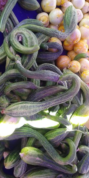  at Ferry Plaza Farmers Market in San Francisco