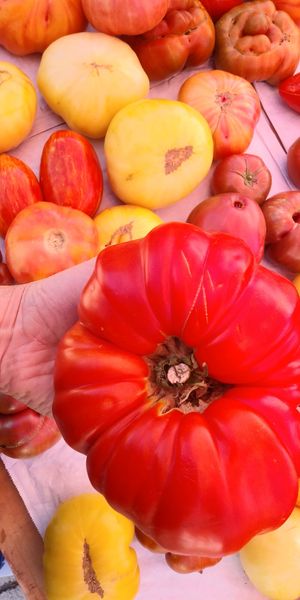  at Ferry Plaza Farmers Market in San Francisco