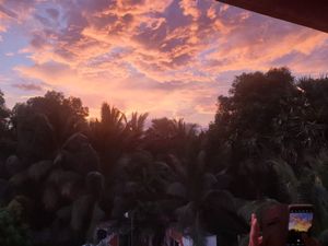 Sunset from the rooftop at Karmer Traders Hostel in Kampot