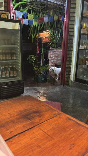 Leuke hondjes hier  at Bula Vinaka Ubud in Ubud