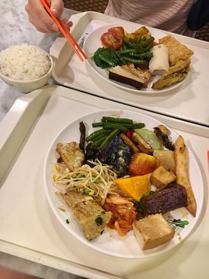 Two nice plates with tasty food and extra rice. (sadly not quite sure if all was vegan though)  at Minder Vegetarian 明德素食 - Eslite Mall in Taipei