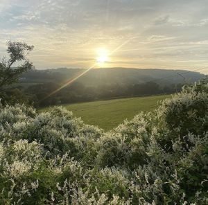 Amazing view   at The Bird In Hand in Swansea