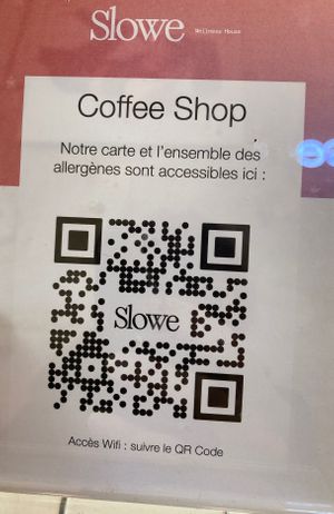 Link to there menu for more vegan options :) at Slowe Wellness House in Paris