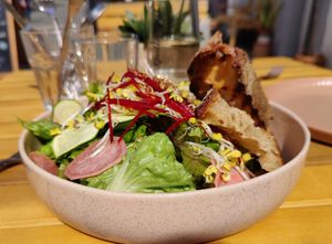 Season Salad at Nourish Mother Earth in Saarbrucken