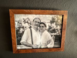 Owners  at VÜMO in Porto