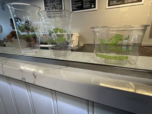 Small, large, bowl  at Refresh Cafe & Smoothie Bar in Fairport