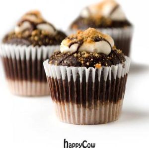 S'mores Cupcake at Sweets from the Earth in Toronto