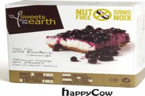 Wild Blueberry Cheesecake at Sweets from the Earth in Toronto