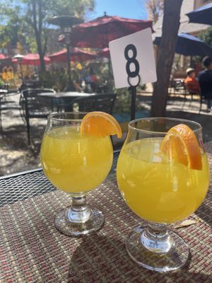 Kombucha and Bounty Bowl with Veggie Burgers  at Rainbow Restaurant in Fort Collins