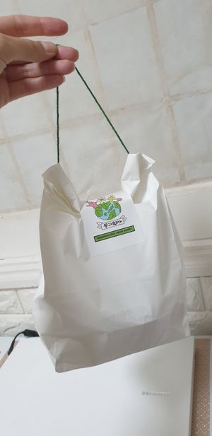 Earth friendly packaging, all paper at Moonggoojeom Vegan Bakery in Busan