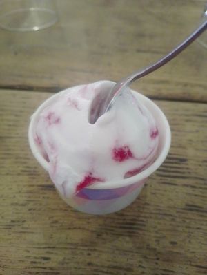 Vegan ice cream made with coconut at Prairie Hotel & Outback Lodge in Parachilna