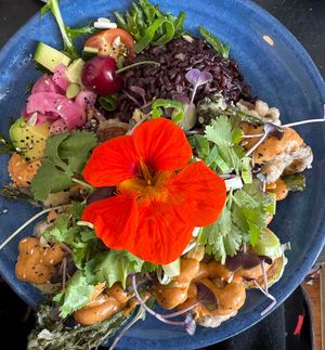Vegan poke bowl with tempura shiitake, zucchini, tofu & broccolini, black rice, salad and onion pickle. Thoroughly delicious and worth the ~$27. Great staff too!  at The Port Hole Cafe in Cygnet
