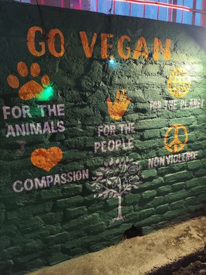  at Vegan House Cafe & Restaurant  in Lalitpur