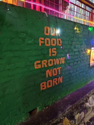  at Vegan House Cafe & Restaurant  in Lalitpur