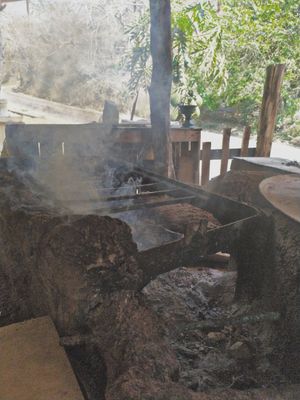 Todo lo cocido se cocina con estufa de leña y comal at Cocodrilo Enamorado Mazunte in Oaxaca