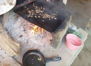 Seitan casero a la brasa at Cocodrilo Enamorado Mazunte in Oaxaca