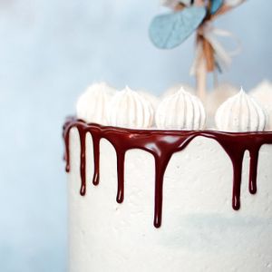  at Plants Food Mind - Pre-order in Lampertheim