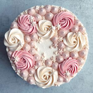  at Plants Food Mind - Pre-order in Lampertheim